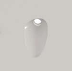 Donna oval